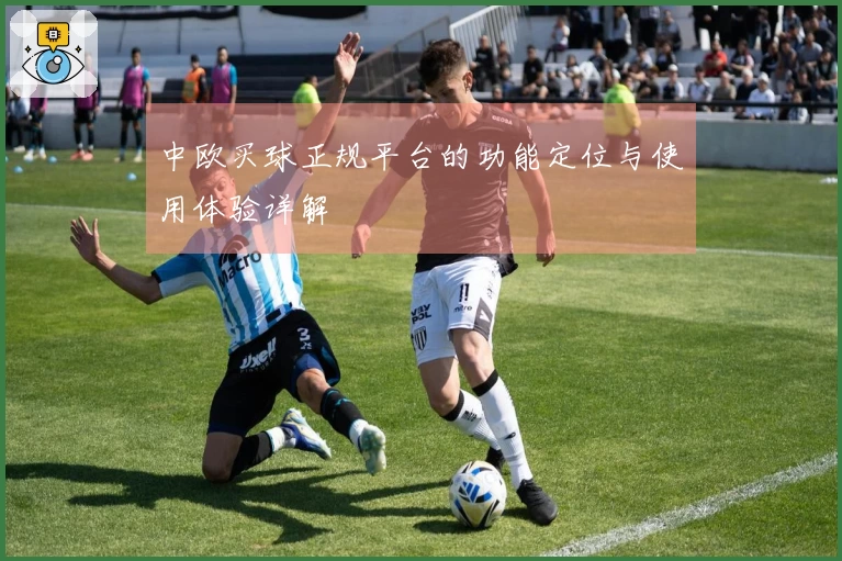 中欧买球正规平台的功能定位与使用体验详解