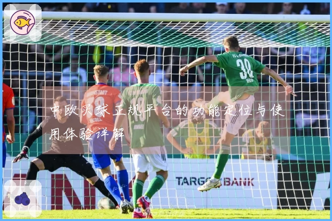 中欧买球正规平台的功能定位与使用体验详解