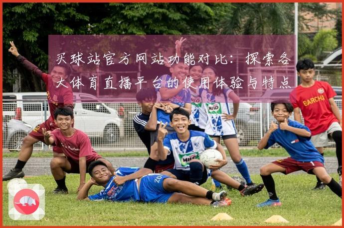 买球站官方网站功能对比：探索各大体育直播平台的使用体验与特点